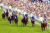 Epsom Derby 7